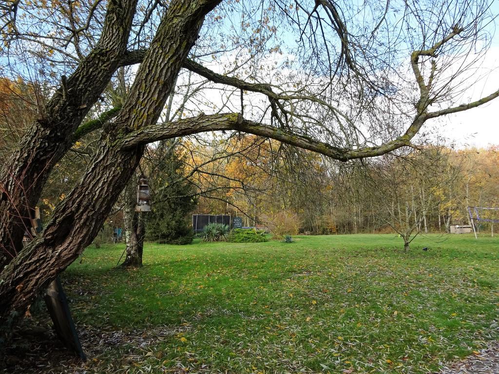 Les Chaumieres Du Chene Otel Pouillé Dış mekan fotoğraf